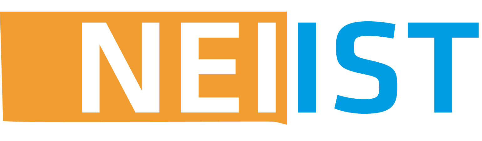 NEI IST Logo