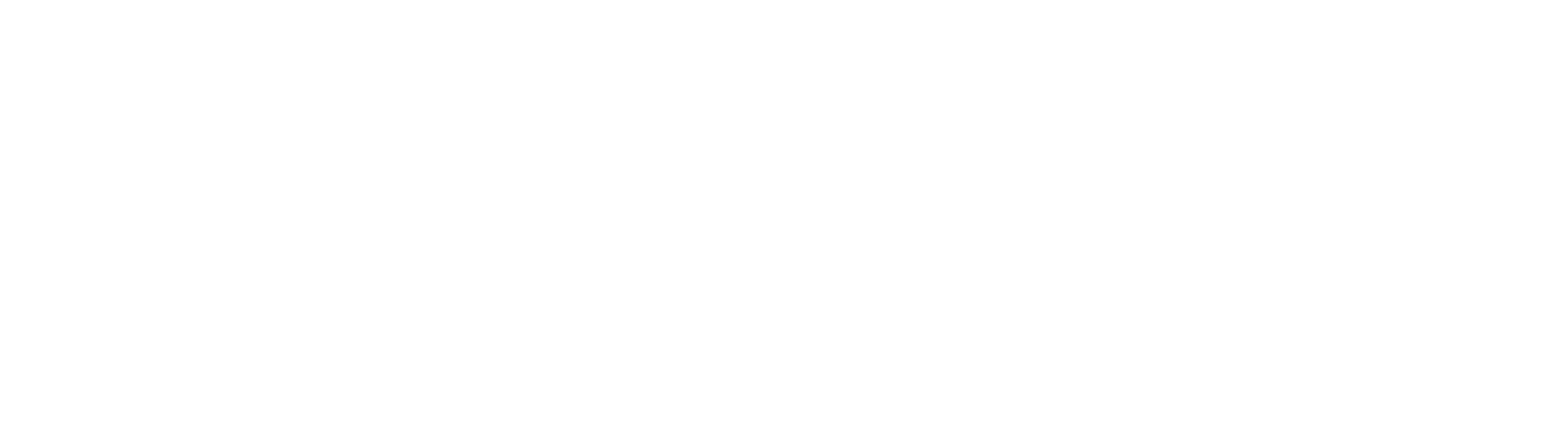 Accenture Logo